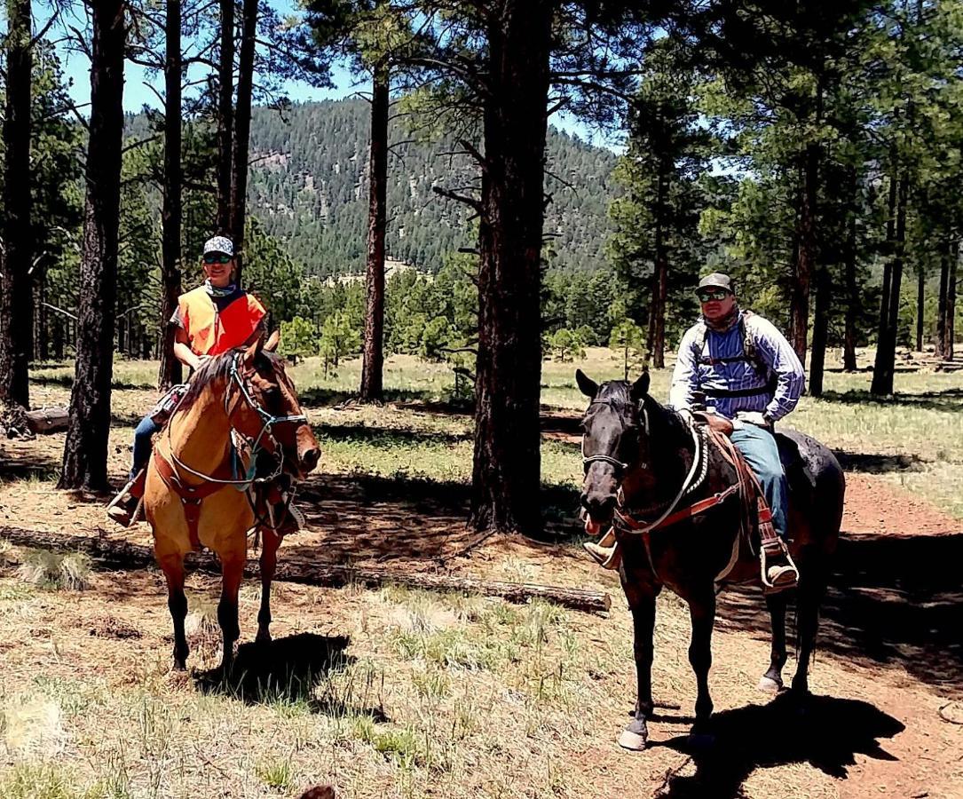 Grand Canyon 1Bd Loft/Suite-Horseback Riding-Shooting-Dogs Ok! Parks Kültér fotó